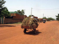 Province du Yatenga (nord du Burkina Faso)