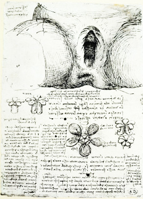 Leonardo da Vinci - Anatomical drawings - Female genital organs