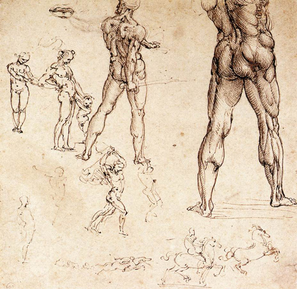 Leonardo da Vinci - Anatomical drawings - Legs