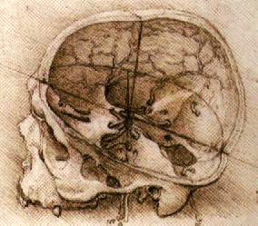 Leonardo da Vinci - Anatomical drawings - Head