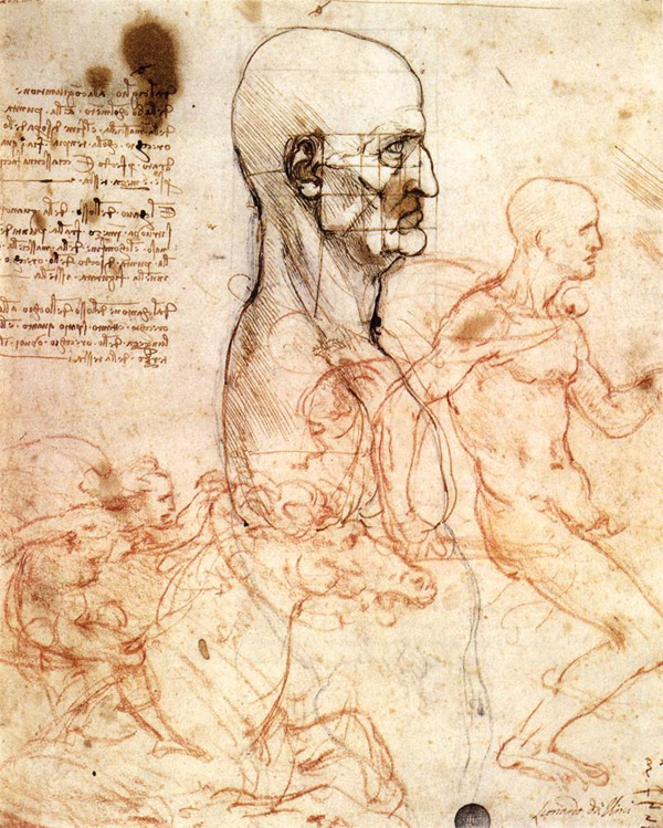 Leonardo da Vinci Anatomical drawings Head