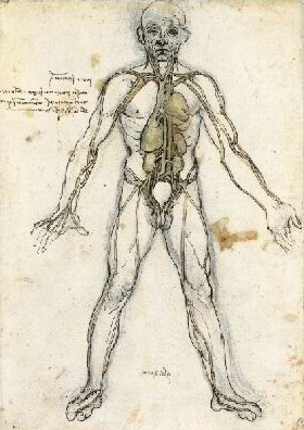 Leonardo da Vinci - Anatomical drawings - Heart, lungs, arteries