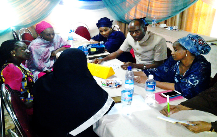 Strengthening Capacity for Sexual and Reproductive health research through Online Training, Kaduna 2017 - Aishatu Abubakar Sadiq