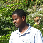 Yared Tadesse