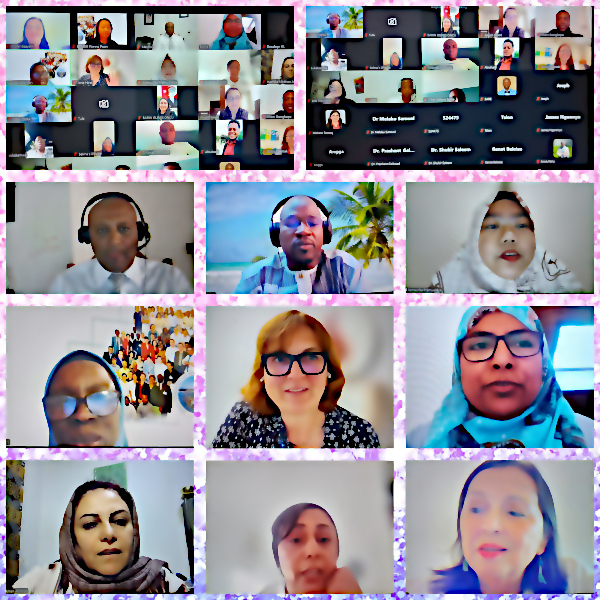 GFMER training course in research methodology, research protocol development and scientific writing 2025: End of course meeting - Raqibat Idris GFMER training course in research methodology, research protocol development and scientific writing 2025: End of course meeting - Raqibat Idris